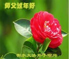 Published on 1/30/2014 ���ֹ�,��½�󷨵��ӹ�ףʦ���������(32��)
