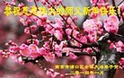 Published on 1/30/2014 ���ֹ�,��½�󷨵��ӹ�ףʦ���������(28��)
