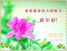 Published on 1/30/2014 ���ֹ�,��½�󷨵��ӹ�ףʦ���������(25��)
