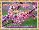 Published on 1/30/2014 ���ֹ�,��½�󷨵��ӹ�ףʦ���������(26��)
