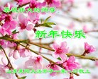 Published on 1/30/2014 ���ֹ�,��½�󷨵��ӹ�ףʦ���������(26��)
