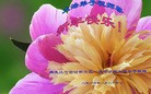 Published on 1/31/2014 ���ֹ�,��½�󷨵��ӹ�ףʦ���������(40��)
