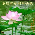 ���ֹ�,�ൺ�󷨵��ӹ�ףʦ���������(31��)
