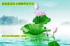 Published on 1/30/2014 ���ֹ�,��½�󷨵��ӹ�ףʦ���������(42��)
