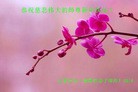 Published on 2/1/2014 ���ֹ�,��ѧԱ��ףʦ���������(27��)
