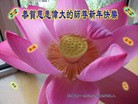 Published on 1/30/2014 ���ֹ�,��½�󷨵��ӹ�ףʦ���������(26��)
