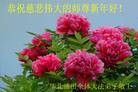 Published on 1/31/2014 ���ֹ�,��½�󷨵��ӹ�ףʦ���������(35��)
