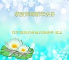 Published on 1/31/2014 ���ֹ�,��½�󷨵��ӹ�ףʦ���������(35��)
