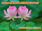 Published on 1/30/2014 ���ֹ�,��½�󷨵��ӹ�ףʦ���������(27��)
