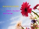 Published on 1/30/2014 ���ֹ�,��½�󷨵��ӹ�ףʦ���������(27��)
