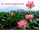 Published on 1/30/2014 ���ֹ�,��½�󷨵��ӹ�ףʦ���������(25��)
