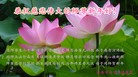 Published on 1/30/2014 ���ֹ�,��½�󷨵��ӹ�ףʦ���������(26��)
