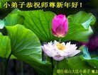 Published on 1/30/2014 ���ֹ�,��½�󷨵��ӹ�ףʦ���������(27��)
