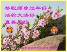Published on 1/30/2014 ���ֹ�,��½�󷨵��ӹ�ףʦ���������(27��)
