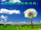 Published on 1/30/2014 ���ֹ�,��½�󷨵��ӹ�ףʦ���������(27��)
