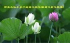 Published on 1/30/2014 ���ֹ�,��½�󷨵��ӹ�ףʦ���������(32��)
