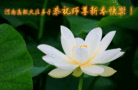 Published on 1/30/2014 ���ֹ�,��½�󷨵��ӹ�ףʦ���������(32��)
