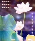 Published on 2/1/2014 ���ֹ�,���Ƿ���Ѻ�Ĵ󷨵��ӹ�ףʦ���������(27��)
