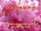 Published on 1/30/2014 ���ֹ�,��½�󷨵��ӹ�ףʦ���������(26��)
