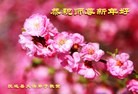 Published on 1/30/2014 ���ֹ�,��½�󷨵��ӹ�ףʦ���������(26��)
