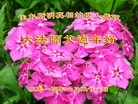 Published on 2/2/2014 ���ֹ�,���������˹�ף���ʦ�����(25��)
