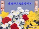 Published on 1/30/2014 ���ֹ�,��½�󷨵��ӹ�ףʦ���������(26��)

