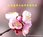 Published on 1/30/2014 ���ֹ�,��½�󷨵��ӹ�ףʦ���������(25��)
