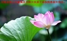 Published on 1/30/2014 ���ֹ�,��½�󷨵��ӹ�ףʦ���������(25��)
