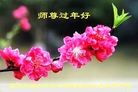 Published on 2/2/2014 ���ֹ�,��½�󷨵��ӹ�ףʦ���������(41��)

