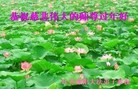 Published on 1/30/2014 ���ֹ�,��½�󷨵��ӹ�ףʦ���������(31��)
