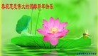 Published on 1/30/2014 ���ֹ�,��½�󷨵��ӹ�ףʦ���������(46��)
