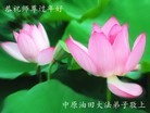 Published on 2/1/2014 ���ֹ�,��½�󷨵��ӹ�ףʦ���������(24��)
