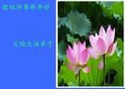 Published on 2/1/2014 ���ֹ�,��½�󷨵��ӹ�ףʦ���������(24��)
