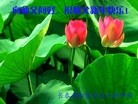 Published on 2/1/2014 ���ֹ�,��½�󷨵��ӹ�ףʦ���������(24��)
