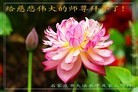 Published on 1/30/2014 ���ֹ�,��½�󷨵��ӹ�ףʦ���������(26��)

