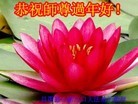 Published on 1/30/2014 ���ֹ�,��½�󷨵��ӹ�ףʦ���������(26��)
