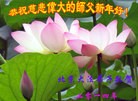 Published on 1/30/2014 ���ֹ�,��½�󷨵��ӹ�ףʦ���������(26��)
