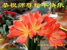 Published on 1/30/2014 ���ֹ�,��½�󷨵��ӹ�ףʦ���������(26��)
