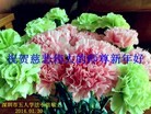 Published on 1/30/2014 ���ֹ�,��½�󷨵��ӹ�ףʦ���������(26��)
