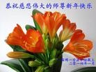 Published on 1/30/2014 ���ֹ�,��½�󷨵��ӹ�ףʦ���������(34��)
