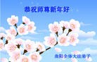 Published on 1/30/2014 ���ֹ�,��½�󷨵��ӹ�ףʦ���������(26��)
