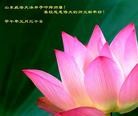 Published on 1/30/2014 ���ֹ�,��½�󷨵��ӹ�ףʦ���������(26��)
