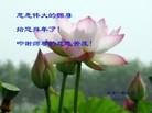 Published on 1/30/2014 ���ֹ�,��½�󷨵��ӹ�ףʦ���������(26��)
