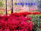 Published on 2/2/2014 ���ֹ�,��½�󷨵��ӹ�ףʦ���������(41��)
