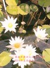 Published on 2/2/2014 ���ֹ�,��½�󷨵��ӹ�ףʦ���������(41��)
