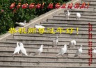 Published on 1/31/2014 ���ֹ�,���Ƿ���Ѻ�Ĵ󷨵��ӹ�ףʦ���������(24��)
