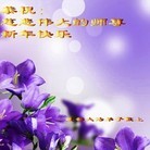 ���ֹ�,�ɶ��󷨵��ӹ�ףʦ���������(28��)
