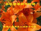 Published on 2/1/2014 ���ֹ�,����ϵͳ�󷨵��ӹ�ףʦ������(18��)
