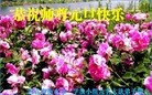 ���ֹ�,�ӱ��󷨵��ӹ�ףʦ��Ԫ������(18��)
