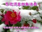 Published on 12/31/2014 ���ֹ�,��½�󷨵��ӹ�ףʦ��Ԫ������(27��)
